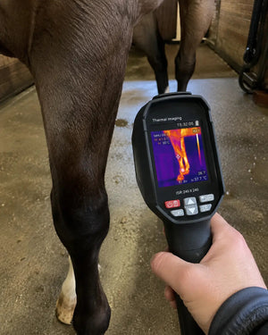 Handheld thermal camera scanning a horse’s front leg with a heat map visible on screen