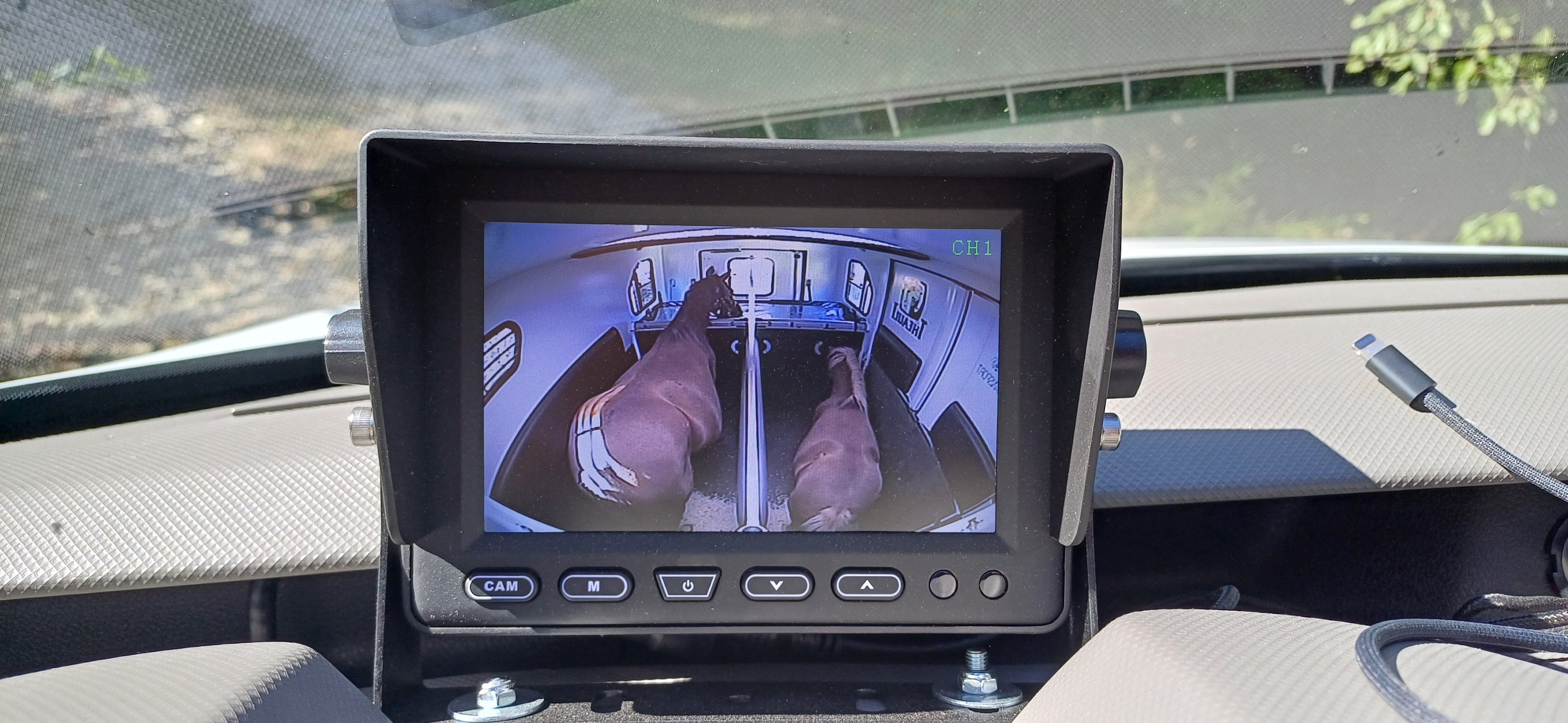 Dashboard horse trailer monitor showing two horses in separate trailer bays