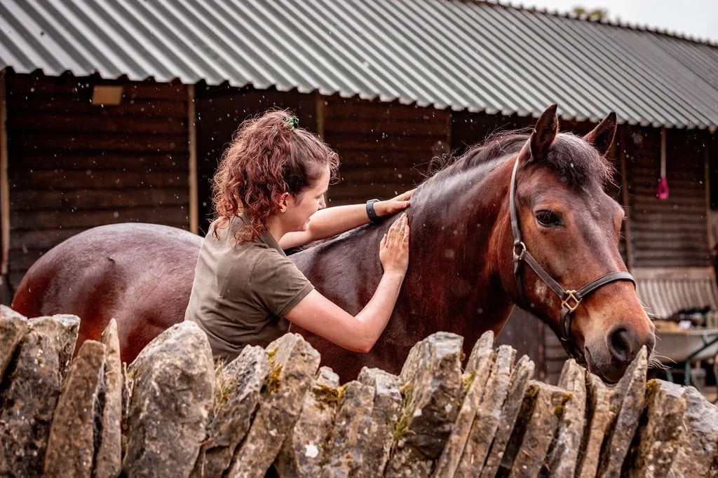 Equine practitioner using both hands on a horse's neck and shoulder