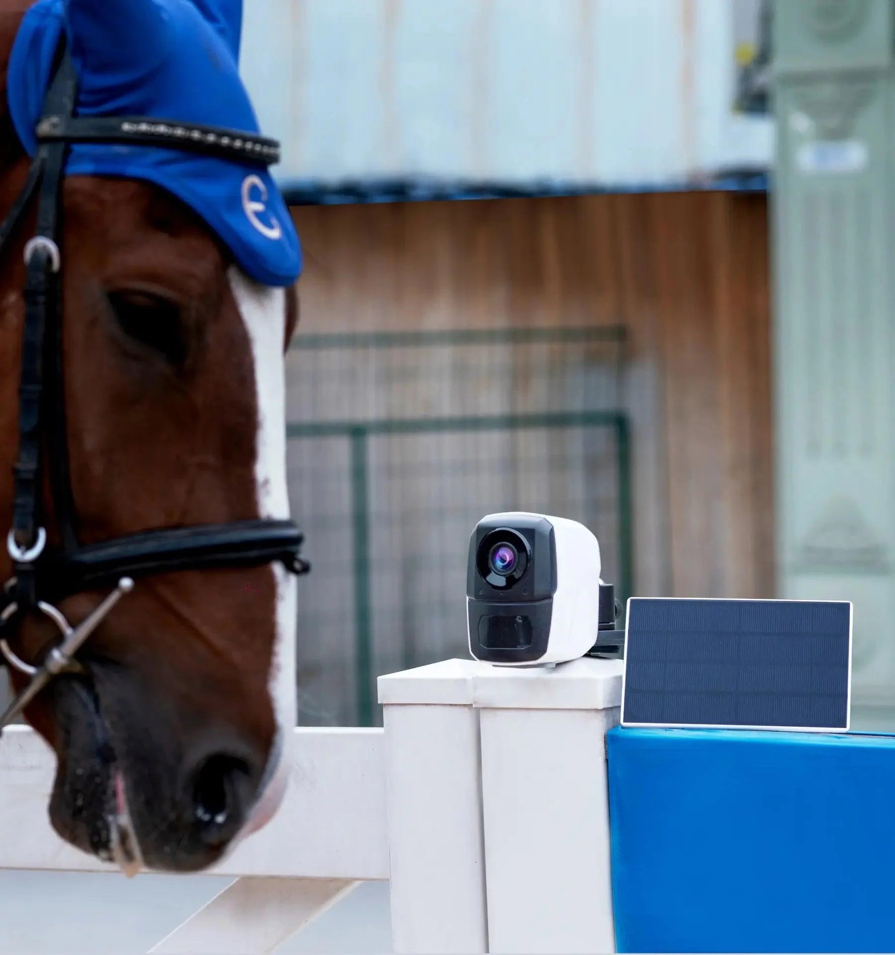 Horse Barn & Stable Cameras