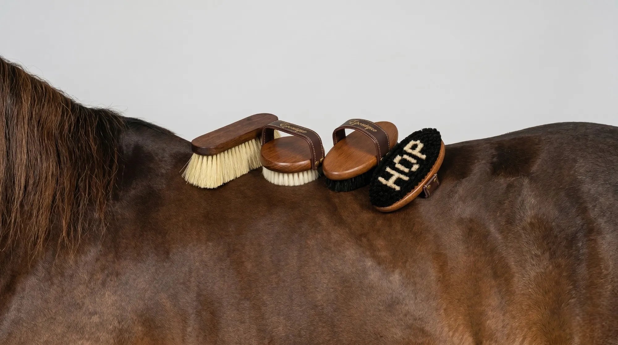 Horse Brushes & Tools