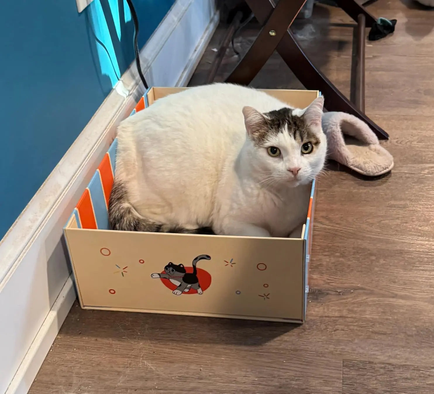Cat sitting inside a decorative box on a wooden floor.
