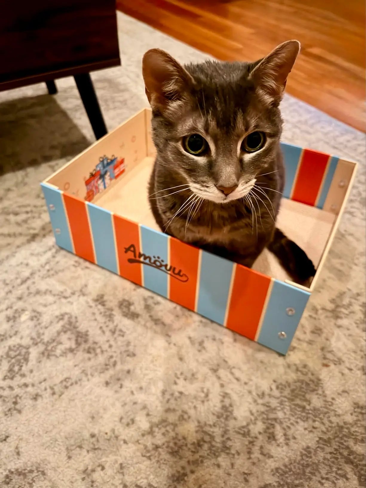 Cat sitting inside a striped cardboard box on a carpeted floor.